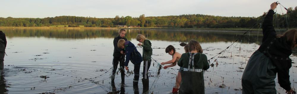 Mini Vildmarkstur med Danmarks jægerforbund